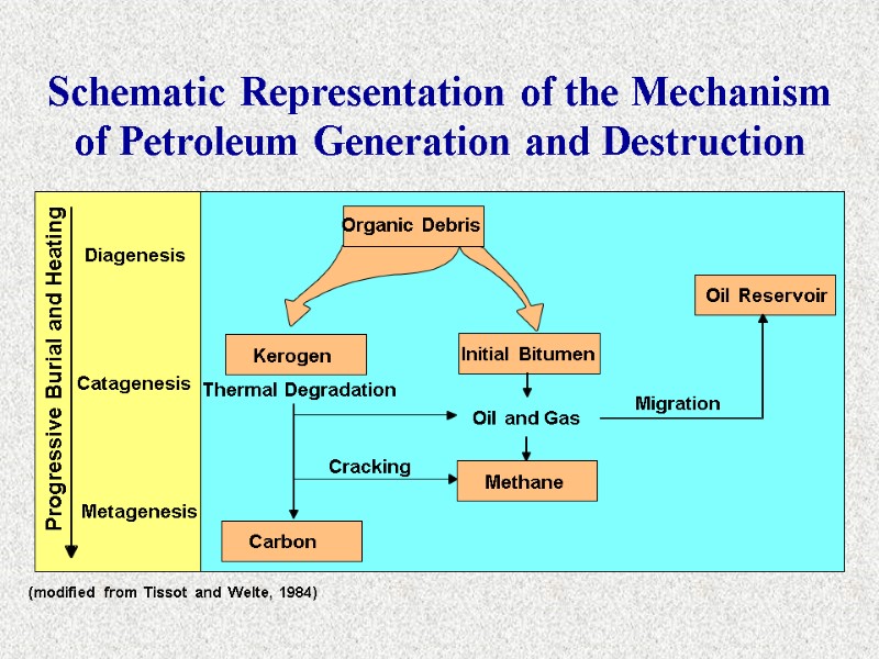 Schematic Representation of the Mechanism of Petroleum Generation and Destruction